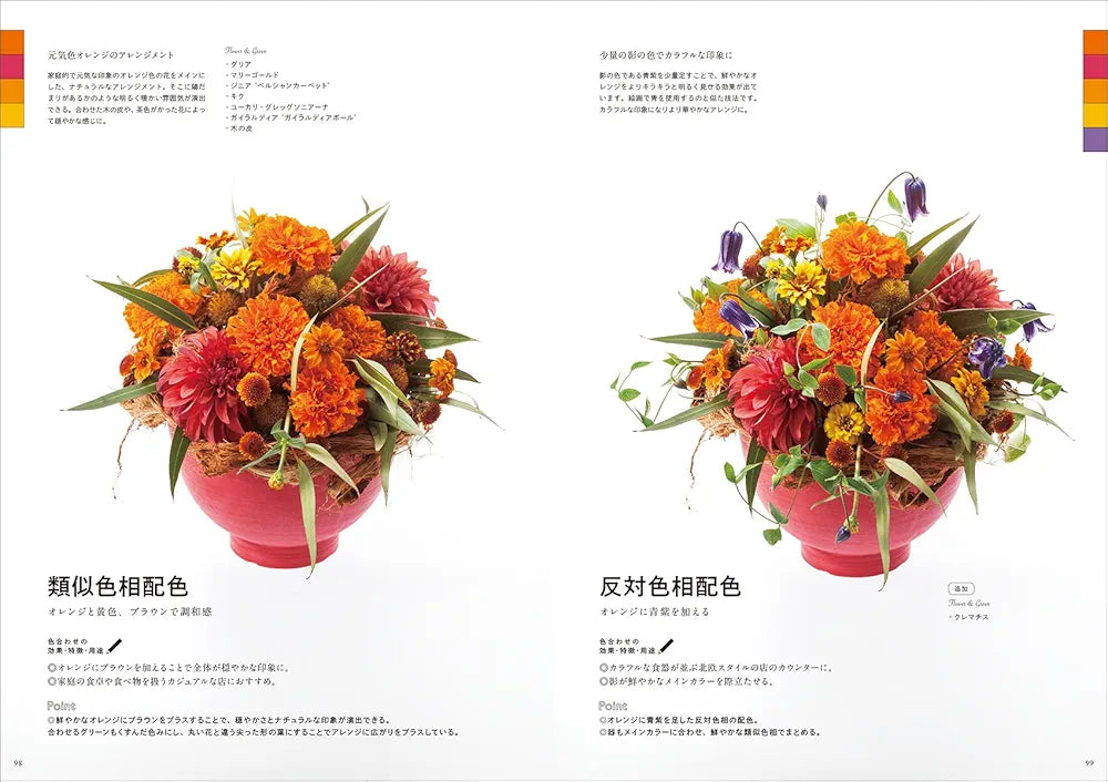 Mieko Sakaguchi Color Study