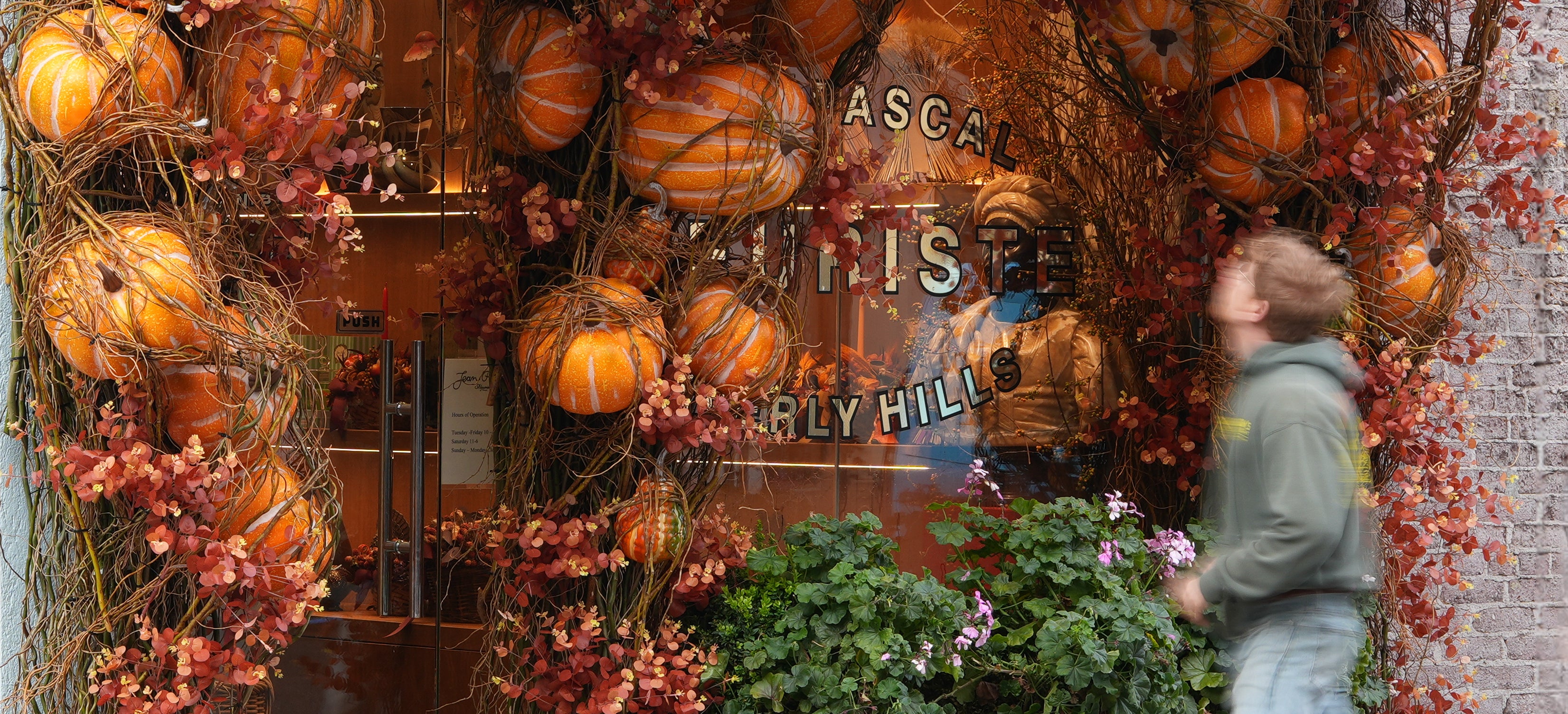 Jean Pascal - Beverly Hills Florist