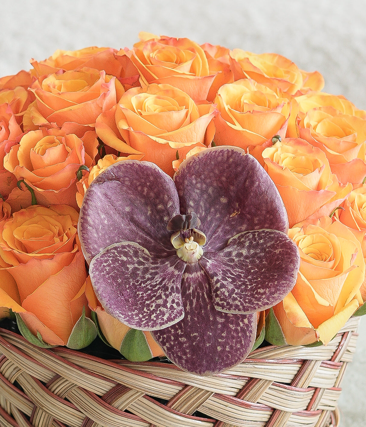 Bright Apricot Pavé