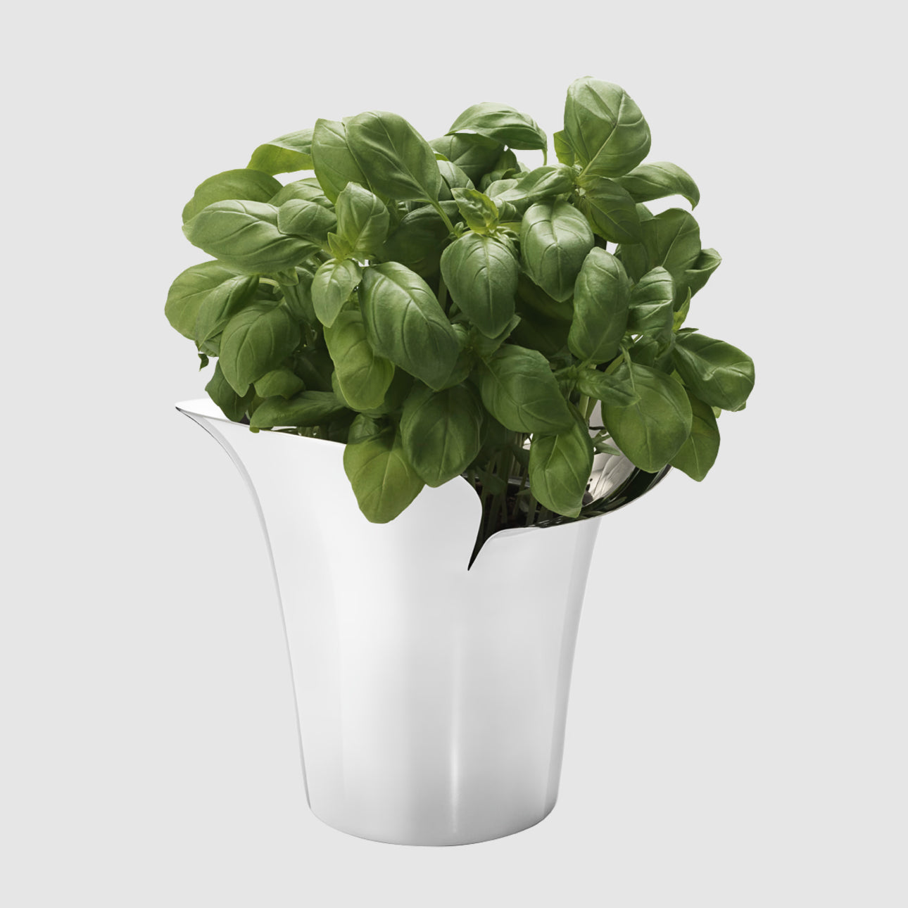 Georg Jensen Flower Pot, Petit