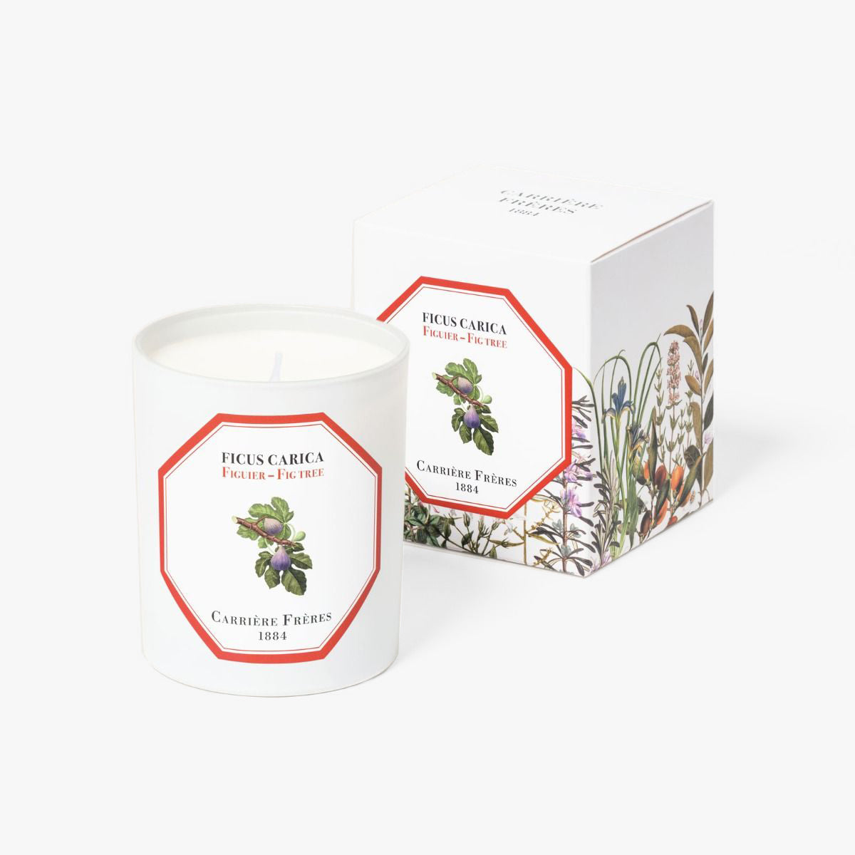Fig Tree Candle
